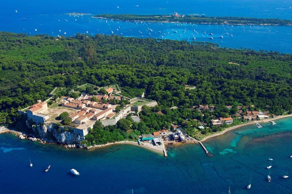 Cannes Beach And Festival Palais 외부 사진