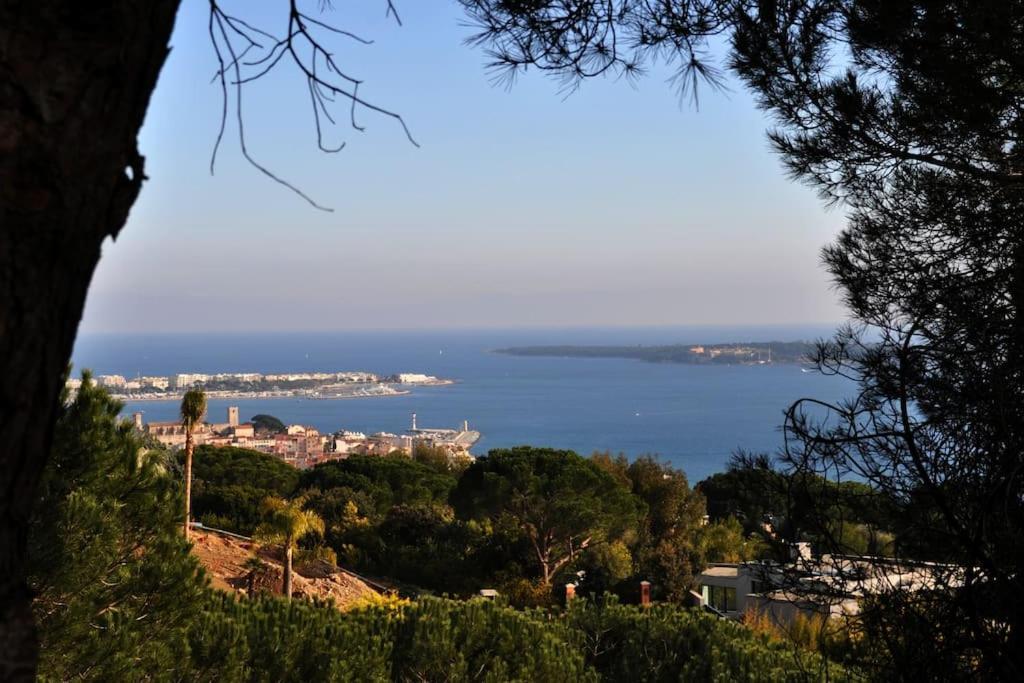 Cannes Beach And Festival Palais 외부 사진